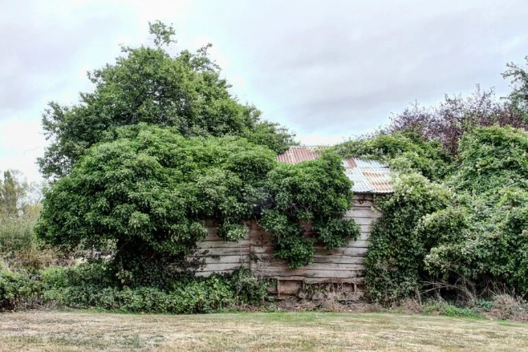 Image: Old house, Temuka, Canterbury, New Zealand
