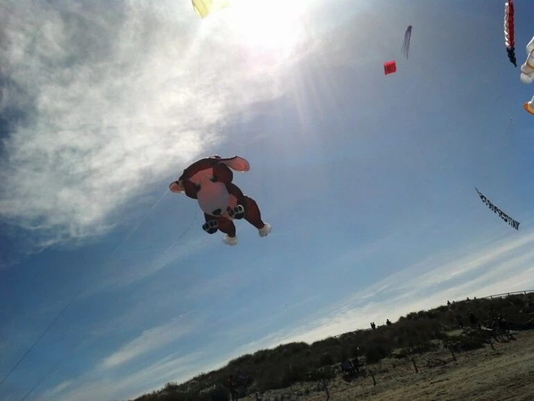 Image: Puppy Kite
