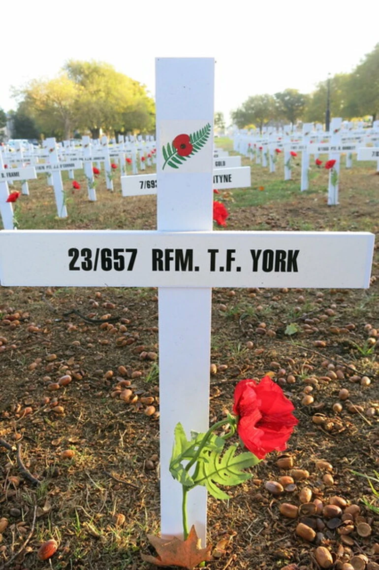 Image: Field of Remembrance