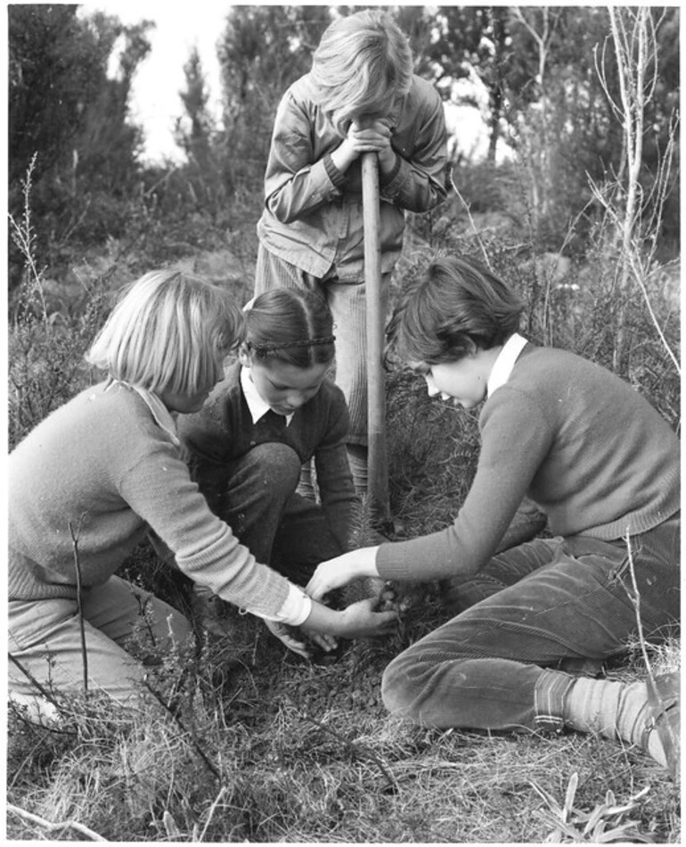 Image: Planting in Nelson for Arbor Day, 1959