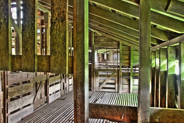 Image: Abandoned Wool Shed, Argyll East, Hawkes Bay, New Zealand