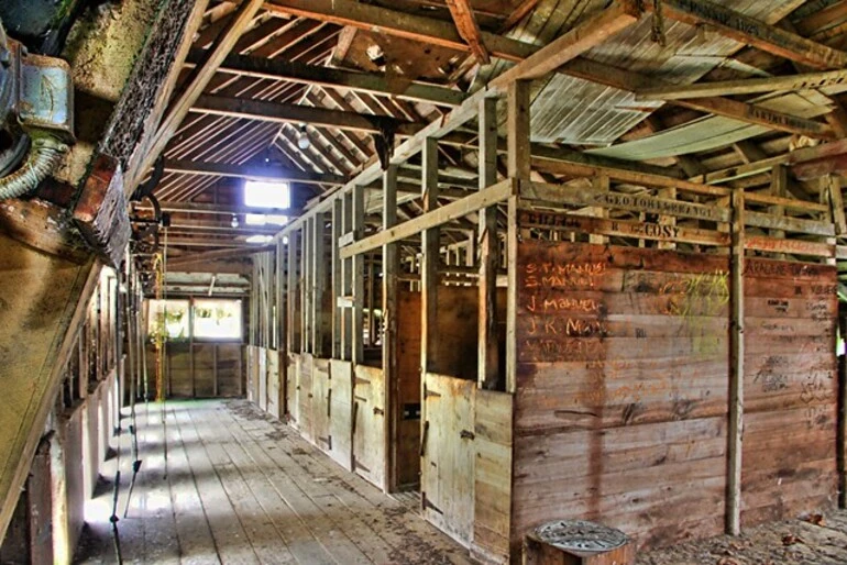 Image: Abandoned Wool Shed, Argyll East, Hawkes Bay, New Zealand