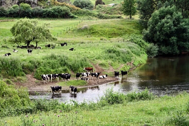 Image: Dirty Dairying.