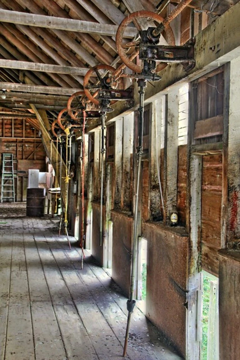 Image: Abandoned Wool Shed, Argyll East, Hawkes Bay, New Zealand