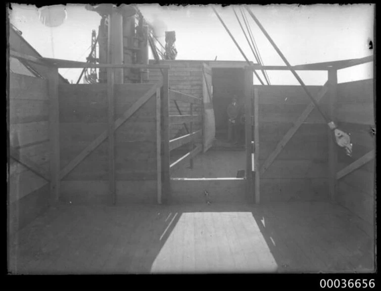 Image: Phar Lap's quarters on deck of SS MONOWAI