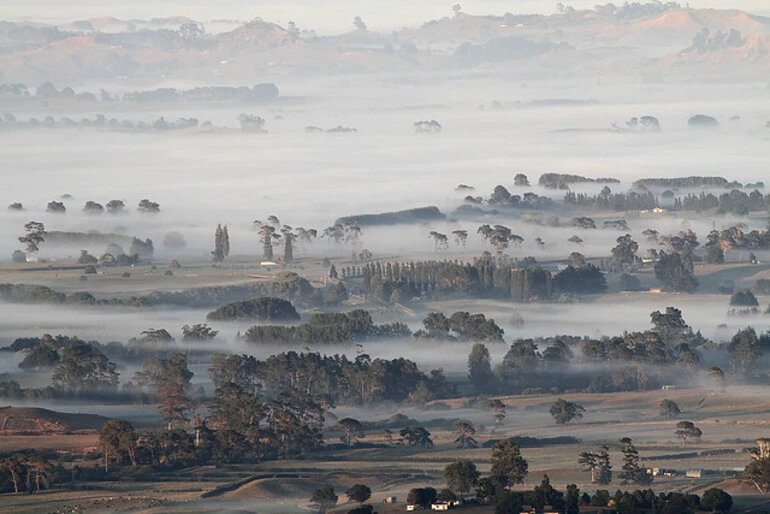 Image: Waikato farmland