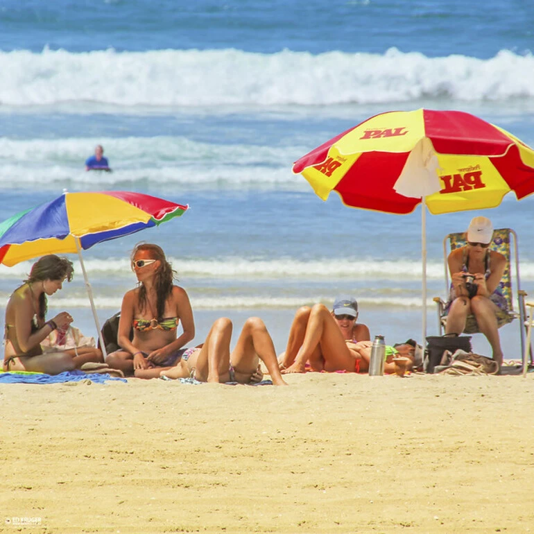 Image: NEW ZEALAND SUMMER