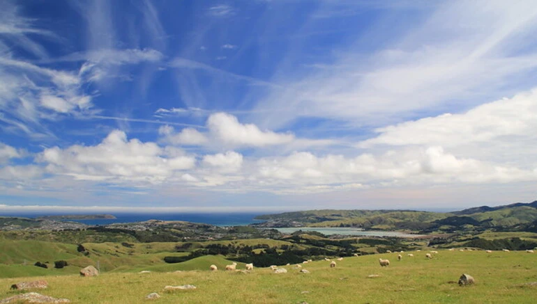 Image: Porirua — city and harbour