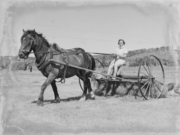 Image: [Woman riding horse drawn hay baler]