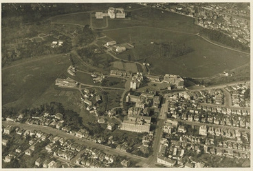 Image: The Domain Auckland. Aerial view