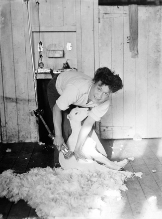 Image: [Portrait of woman shearing a sheep]