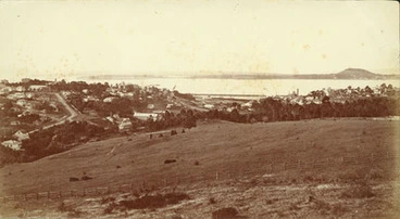 Image: Auckland, from Domain
