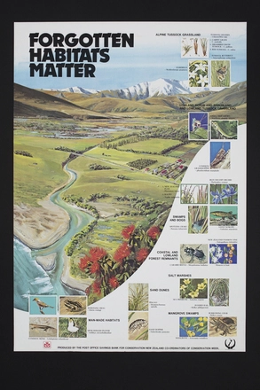 Image: Forgotten habitats matter