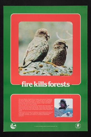 Image: Fire kills forests