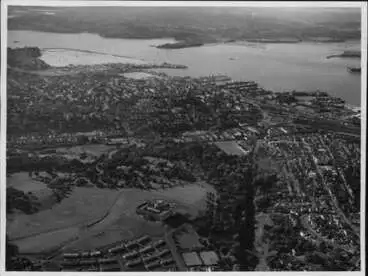 Image: Aerial view of Grafton and Domain.