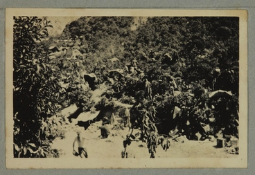 Image: [Scene at Gallipoli.]