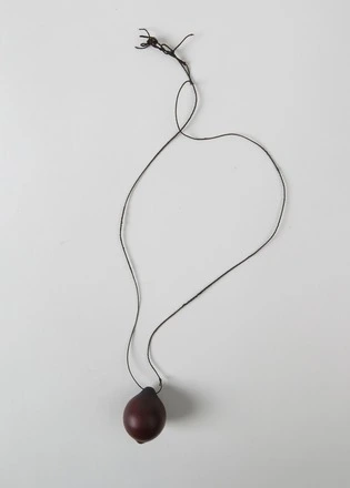 Image: ornament, neck