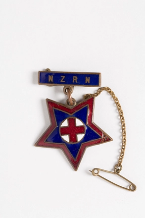 Image: badge, nursing