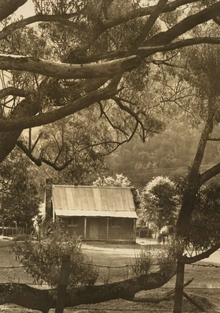 Image: Pumpkin Cottage, Silverstream