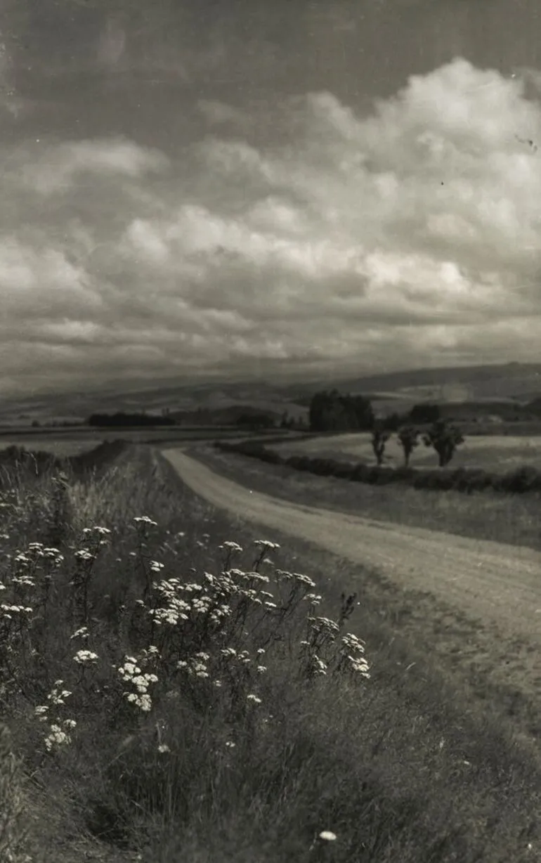Image: Near Ashburton