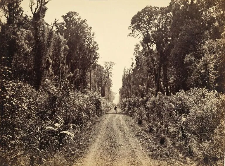 Image: Five Mile Avenue, Forty Mile Bush