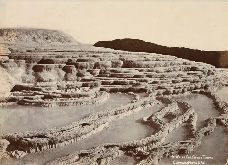 Image: Hot Water Cups, White Terrace