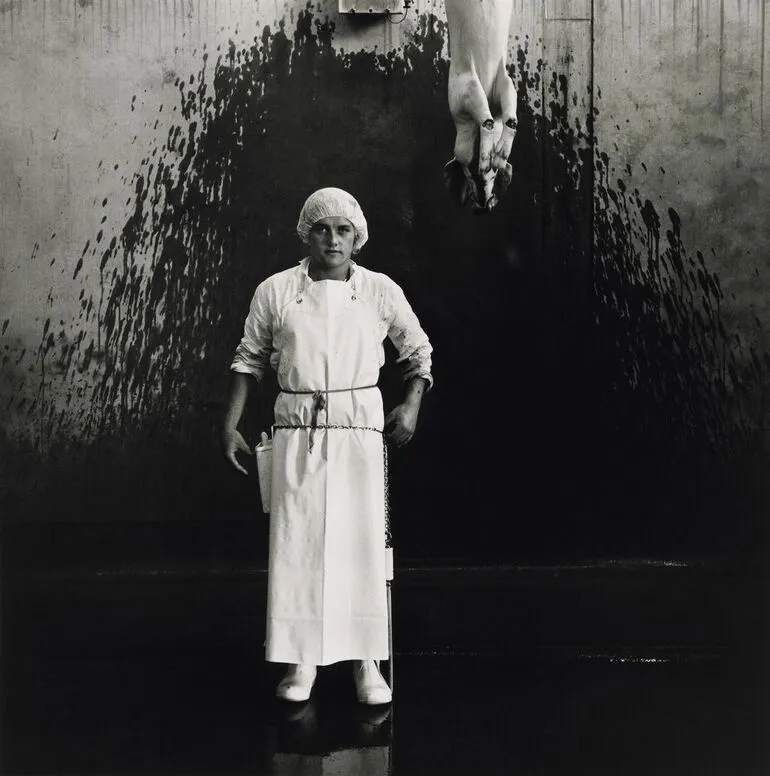 Image: Ronny Lewis, labourer, abattoir pig chain, Christchurch 1982. From the series: Working men