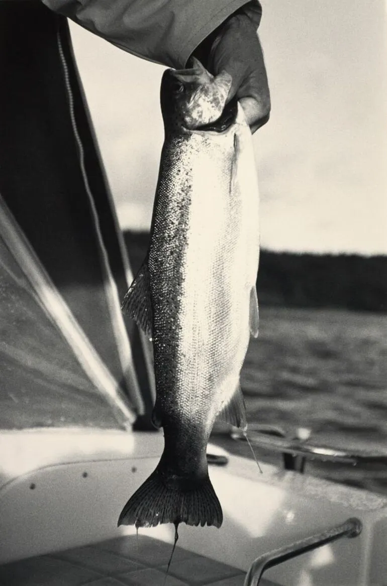 Image: Trout, Lake Taupo