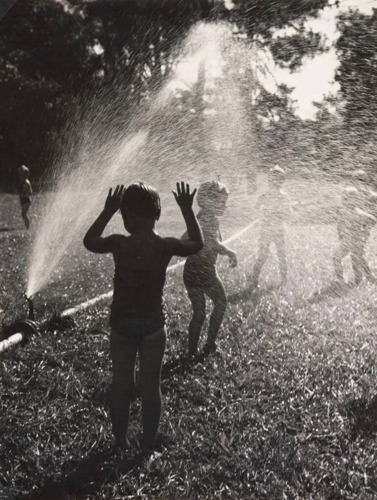 Image: Summer in Hokianga