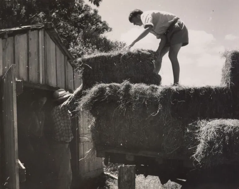 Image: Into the Shed