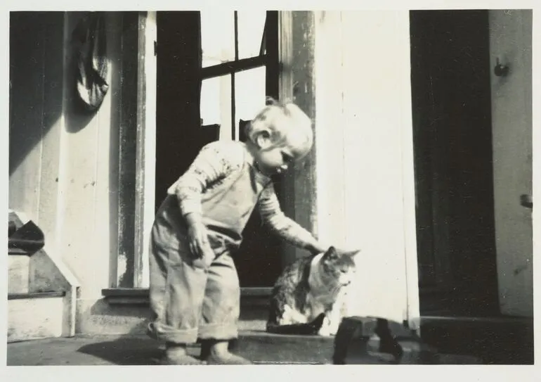 Image: Boy on back porch, Northland