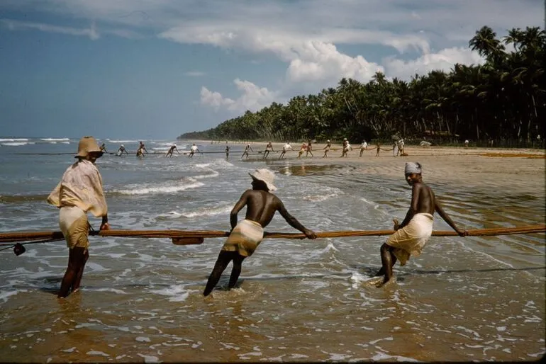 Image: Ceylon (Sri Lanka)