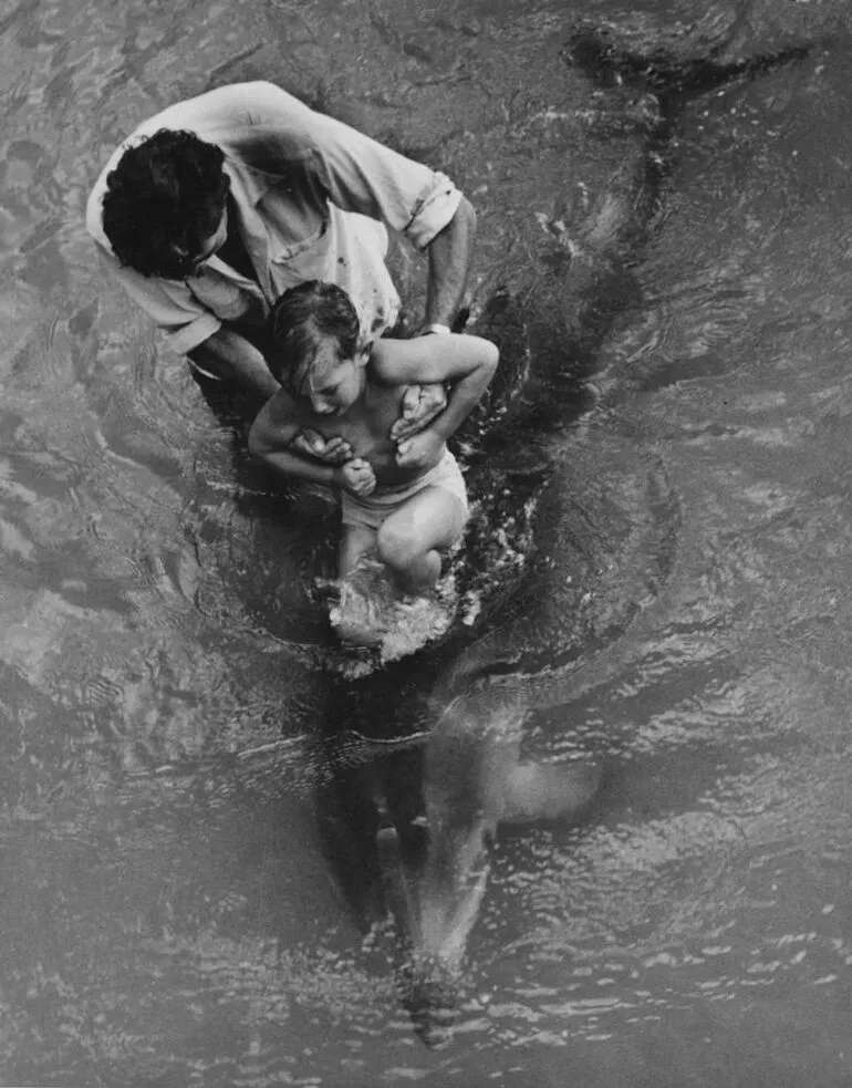Image: 'The day of the dolphin'