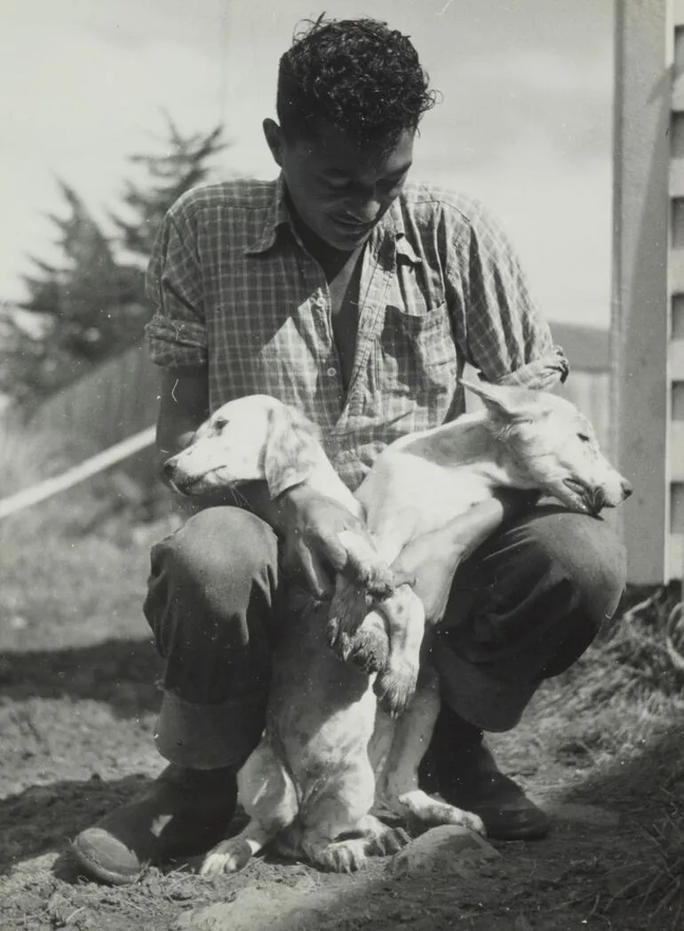 Image: Boy Wikaira and his dogs, Waimamaku