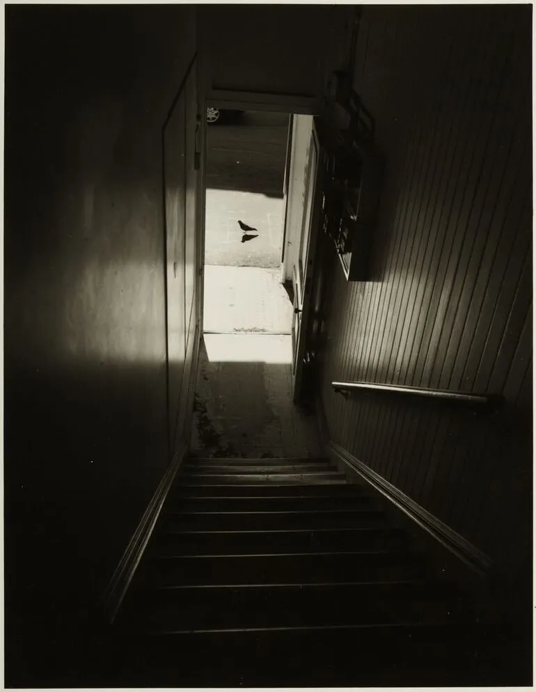 Image: View down stairs, 147 Cuba St., 2001