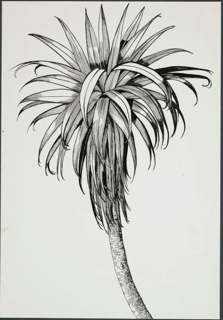 Image: Cordyline indivisa