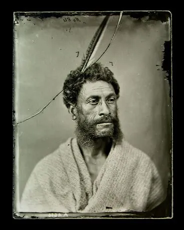 Image: Maori man, bearded, moko, feather in hair