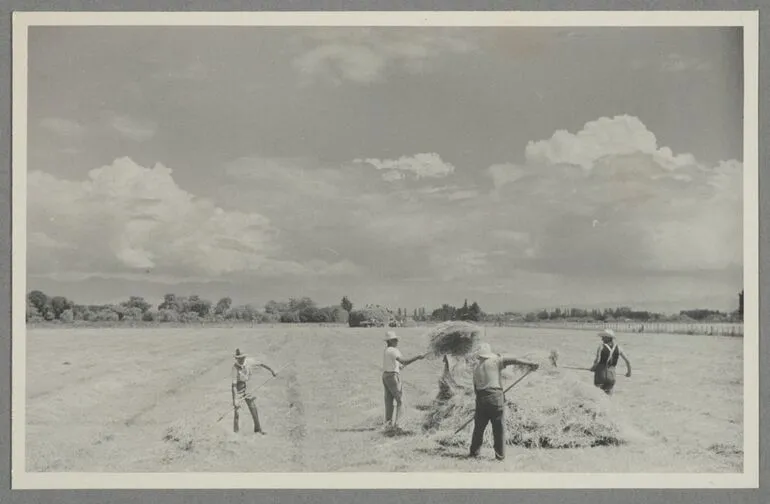 Image: Hay baling, Pukeora farm, Waipukurau