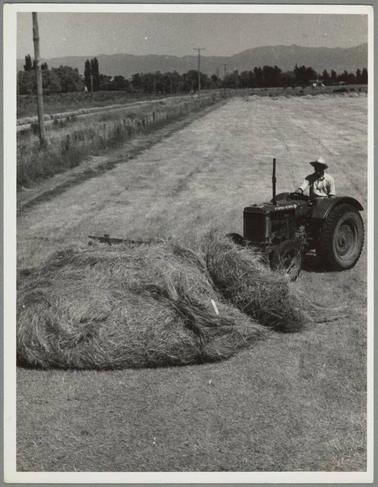 Image: Baling hay, Pukeora farm, Waipukurau