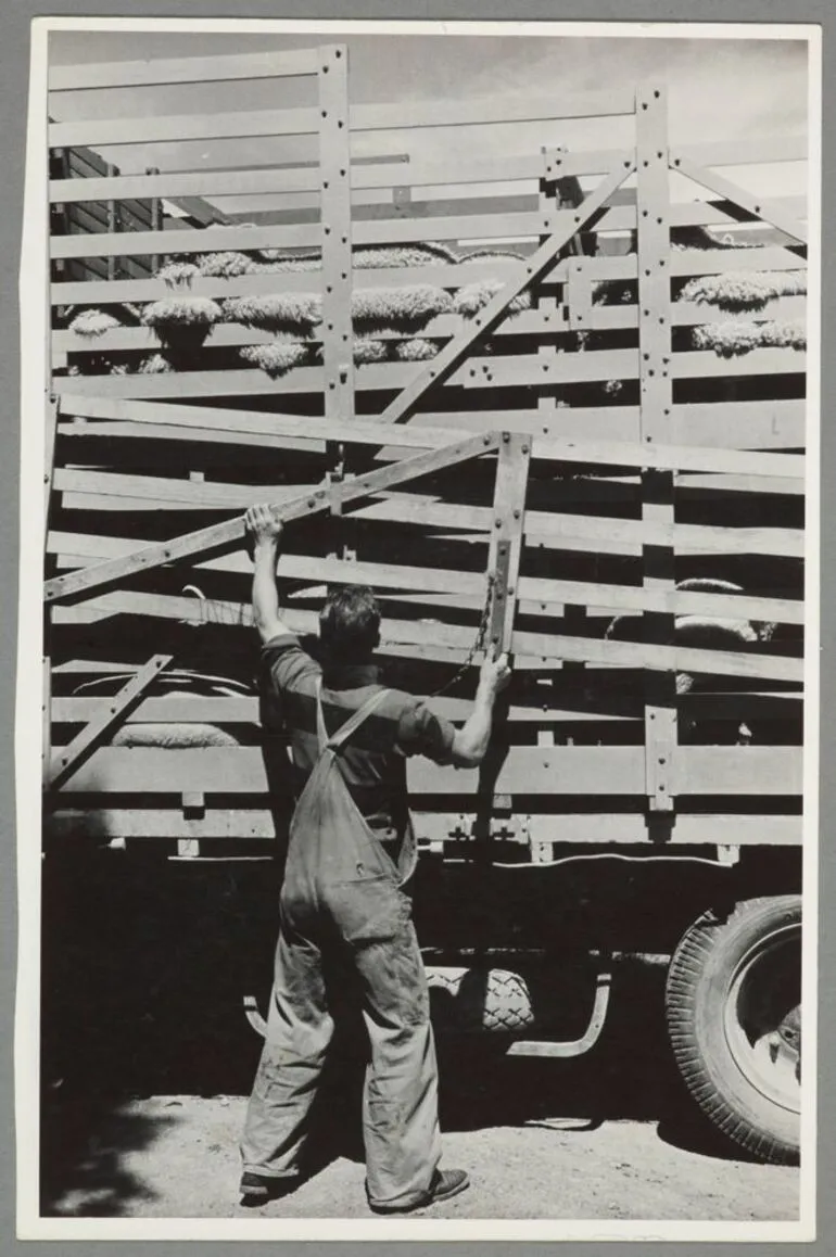 Image: Sheep cattle truck, Waipukurau