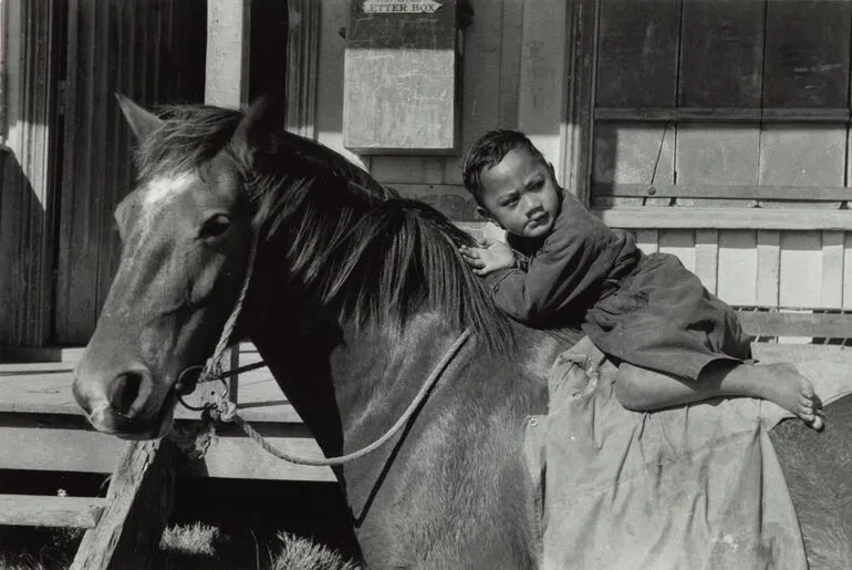 Image: Boy on horseback, Northland