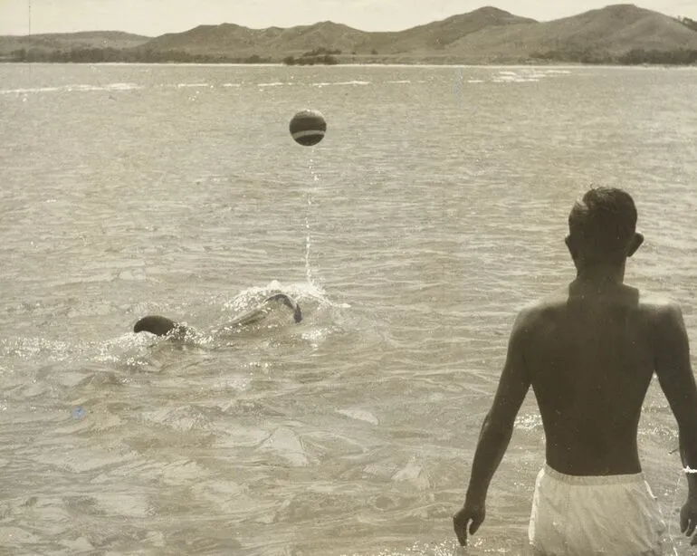 Image: Opo the dolphin, Opononi