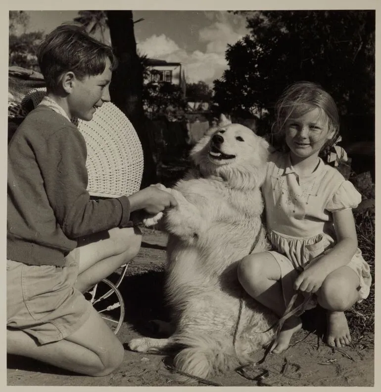 Image: Begbie the dog, Northland