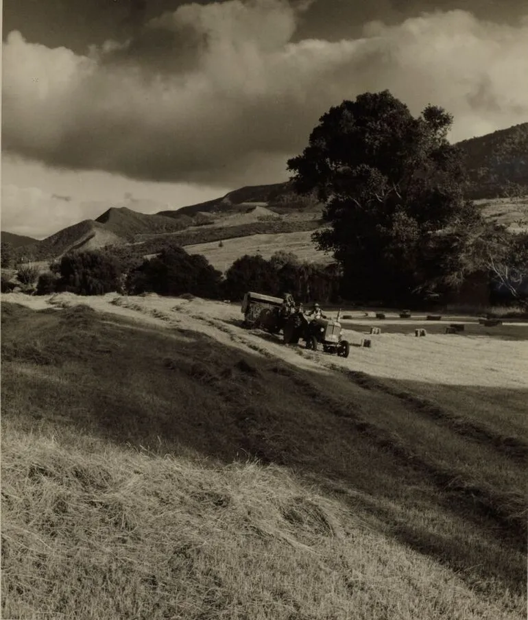Image: Ploughed field, Waimamaku farm property