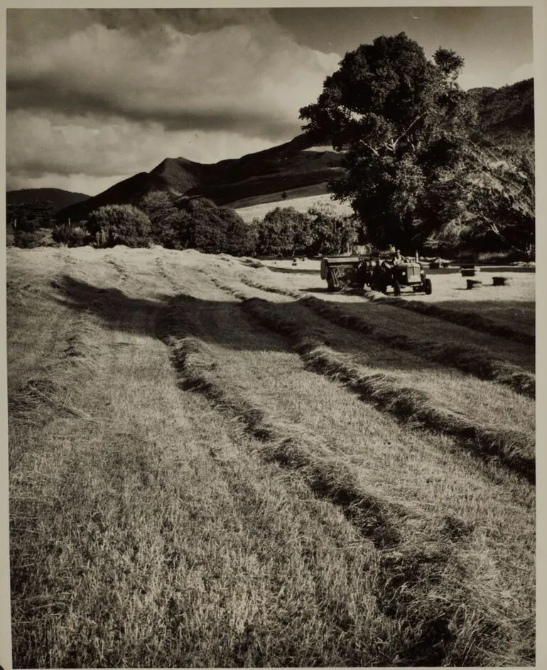 Image: Combine harvestor at work on the Hook family farm, Waimamaku