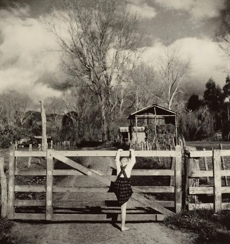 Image: Gate to the farm, Spring scene in Waimamaku