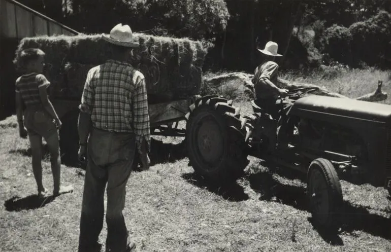 Image: Hay baling, Northland farm property