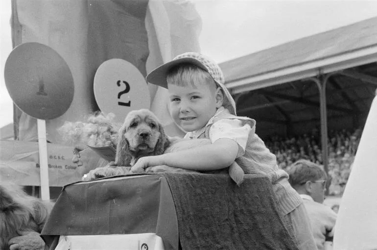 Image: (Boy with cocker spaniel puppy)