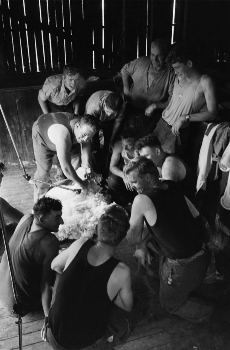 Image: [Shearing gang watching demonstration]