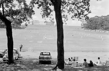 Image: Cricket match on Auckland's Domain